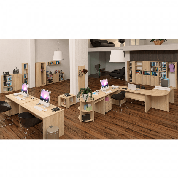 Nízká policová skříňka, dub sonoma, TEMPO ASISTENT NEW 010