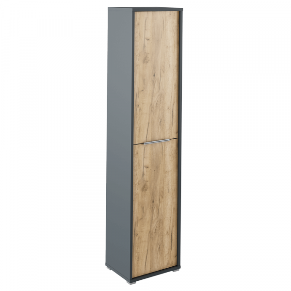 Vysoká skříň s policemi, grafit / dub artisan, RIOMA NEW TYP 06