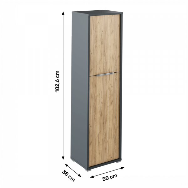 Policová skříň, grafit / dub artisan, RIOMA NEW TYP 08