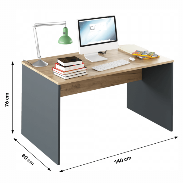 Psací stůl, grafit / dub artisan, RIOMA NEW TYP 11
