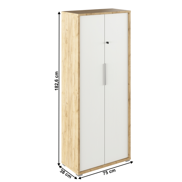 Skinu se zámkem, dub artisan/bílá, RIOMA TYP 31